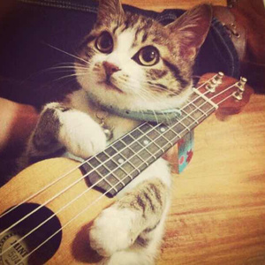 木下凛凛子无码破解资源
