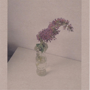 木下凛凛子无码破解资源
